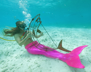 Image 1 - A harp-strumming mermaid in 2013. Image: Bob Care
